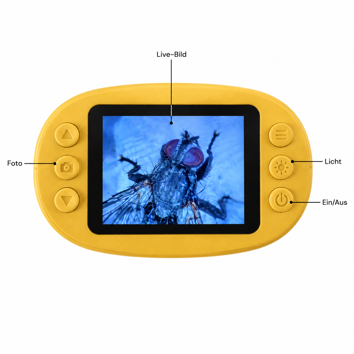 DigiScope Bildschirm und Tasten