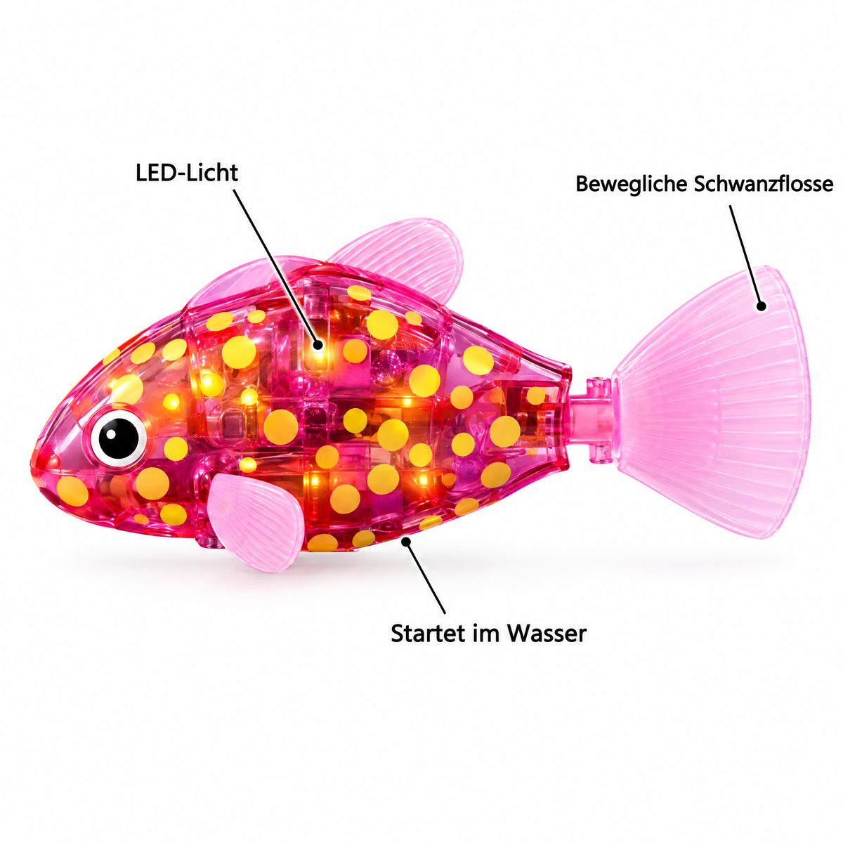 LumiFish Funktionen