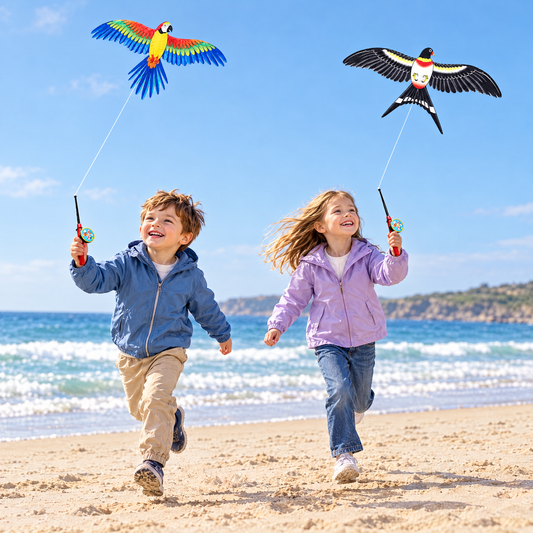 WingUp am Strand